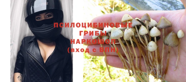 сатива Алзамай
