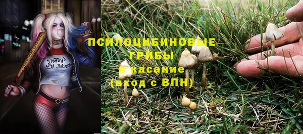 сатива Алзамай